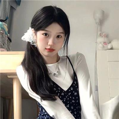 企鹅之岛：福克兰